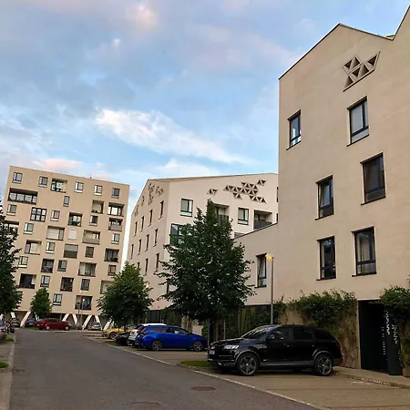 Apartment New Design